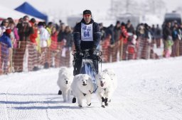 Lenk 2013